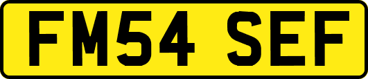 FM54SEF