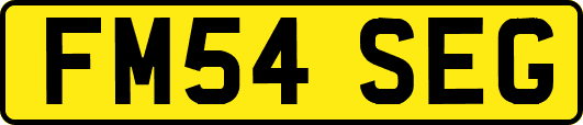 FM54SEG