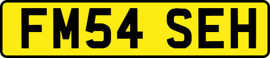 FM54SEH