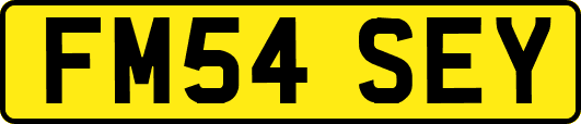 FM54SEY