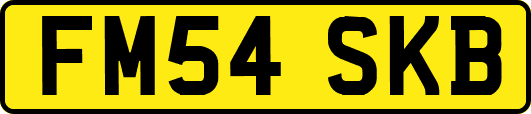 FM54SKB
