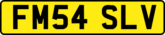 FM54SLV