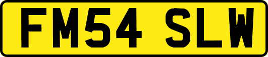 FM54SLW