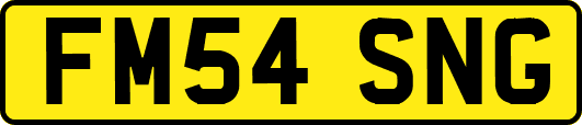 FM54SNG