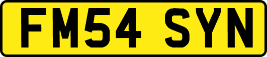 FM54SYN