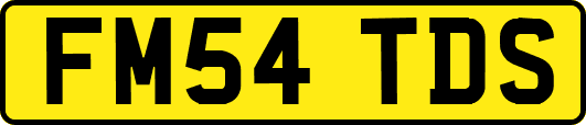 FM54TDS