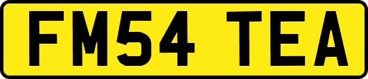 FM54TEA