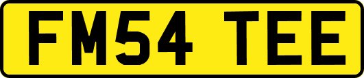 FM54TEE