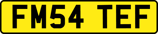 FM54TEF