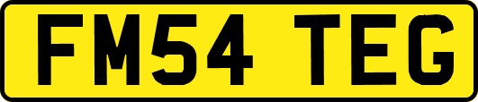 FM54TEG