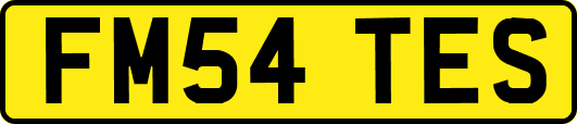 FM54TES
