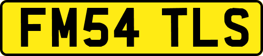 FM54TLS