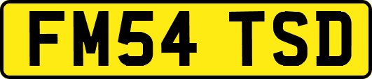 FM54TSD