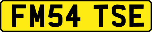 FM54TSE