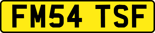 FM54TSF
