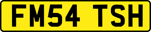 FM54TSH