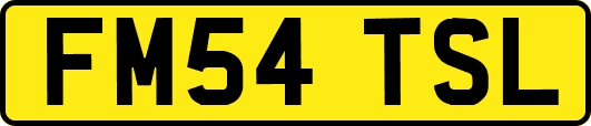 FM54TSL
