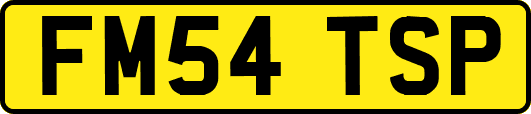 FM54TSP