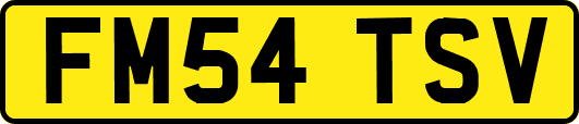 FM54TSV