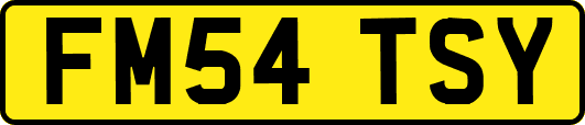 FM54TSY