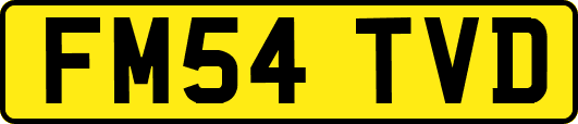 FM54TVD