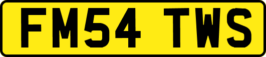 FM54TWS