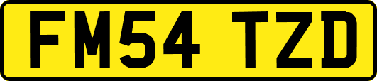 FM54TZD