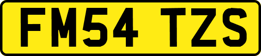 FM54TZS
