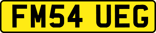 FM54UEG