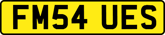 FM54UES