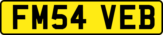 FM54VEB