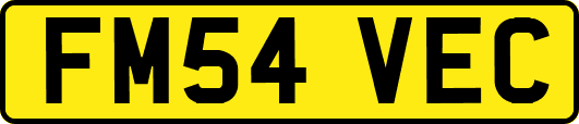 FM54VEC