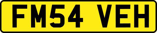 FM54VEH