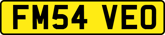 FM54VEO