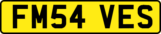 FM54VES