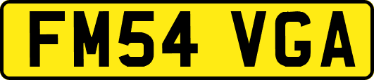 FM54VGA