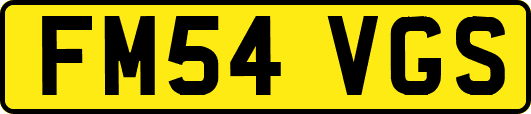 FM54VGS