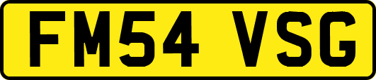 FM54VSG