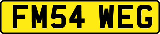 FM54WEG