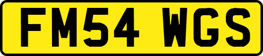 FM54WGS