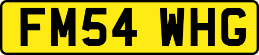 FM54WHG