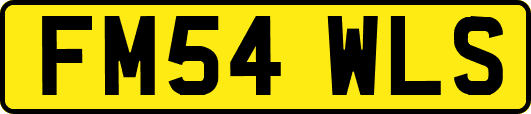 FM54WLS