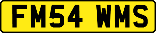 FM54WMS