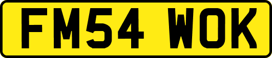 FM54WOK