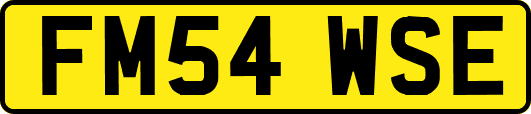 FM54WSE