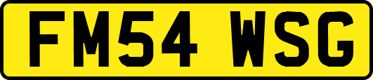 FM54WSG