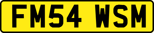 FM54WSM