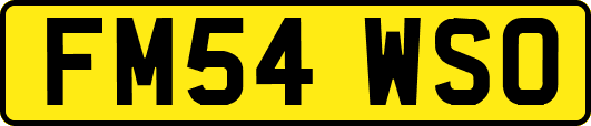 FM54WSO