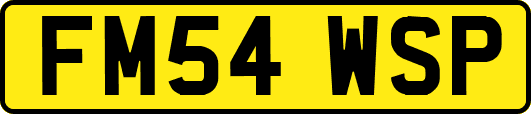 FM54WSP