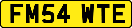 FM54WTE